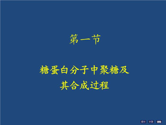 【醫學PPT課件】聚糖的結構與功能 生物化學與分子生物學第5頁