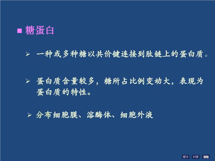 【醫學PPT課件】聚糖的結構與功能 生物化學與分子生物學第6頁