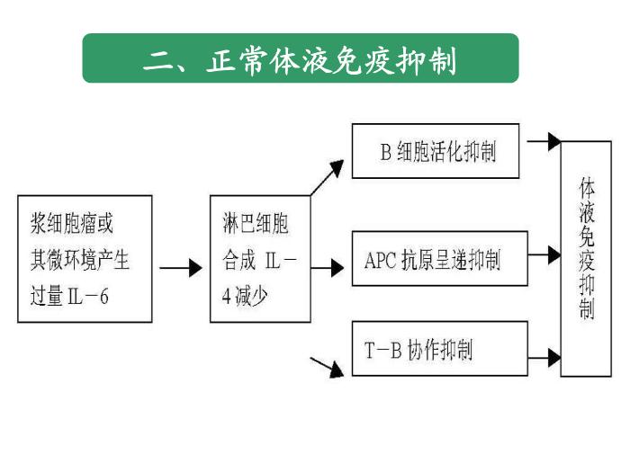 【醫學PPT課件】第25章_免疫增殖性疾病及其免疫檢第9頁