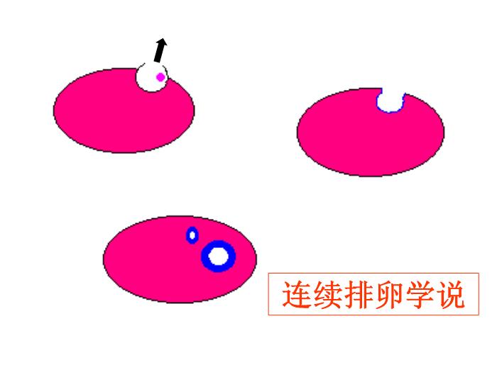 【醫學PPT課件】卵巢腫瘤中山大學精品課件第12頁