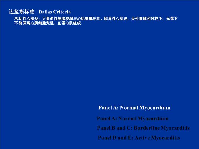 【醫學PPT課件】秦玉明 小兒暴發性心肌炎的診斷與治療（省培訓班2012）第3頁