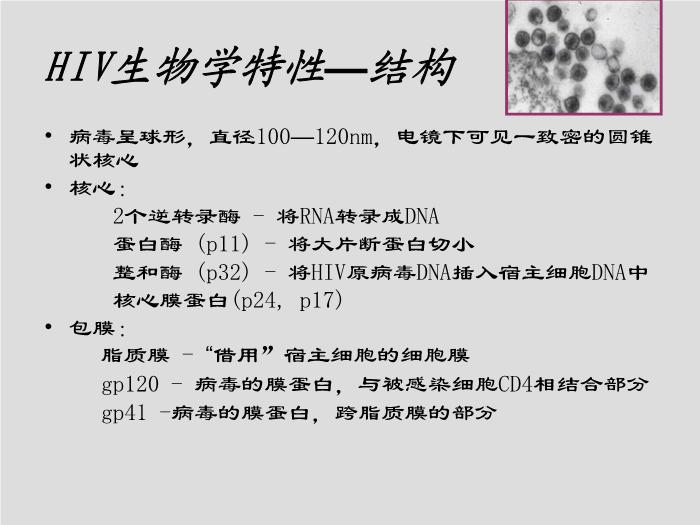【醫學PPT課件】第29章 反轉錄病毒 中國醫科大學尚紅第6頁