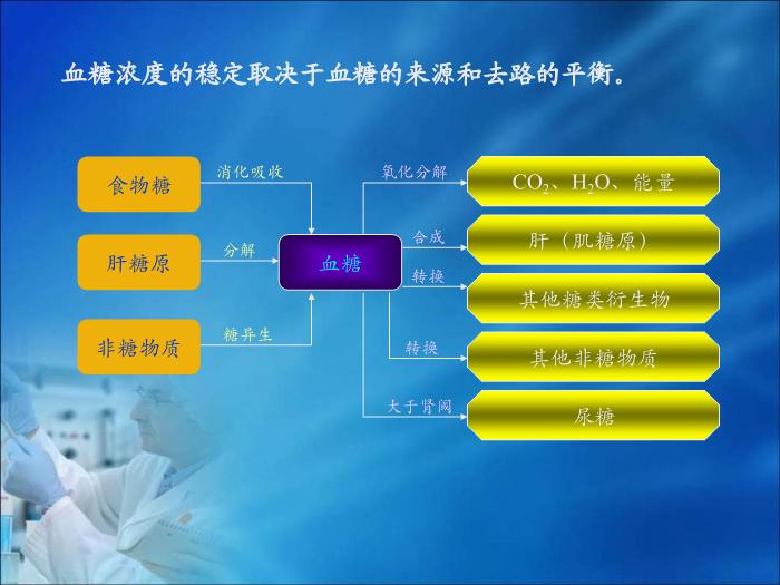【醫學PPT課件】第11章  糖代謝紊亂（人衛）重慶醫科大學第6頁