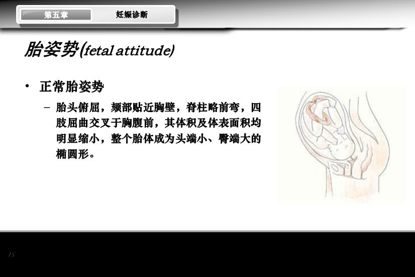 【醫學PPT課件】妊娠診斷 人衛版教學PPT課件第15頁
