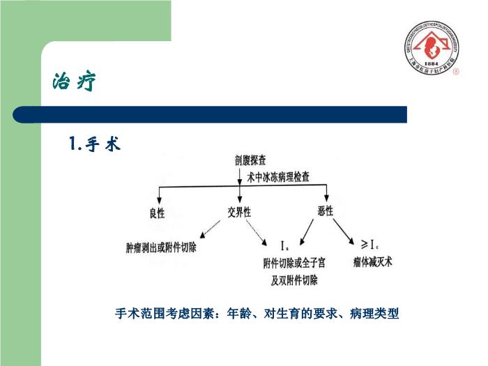 【醫學PPT課件】卵巢腫瘤  復旦大學附屬婦產科醫院預覽圖（11）