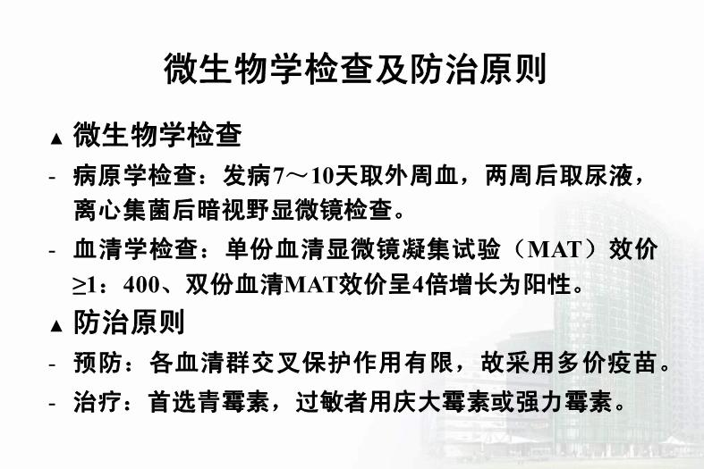 【醫學PPT課件】第21章 螺旋體 醫學微生物學教學課件第14頁
