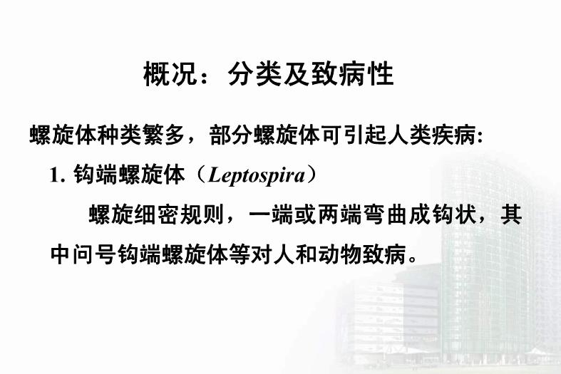 【醫學PPT課件】第21章 螺旋體 醫學微生物學教學課件第4頁