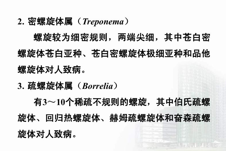 【醫學PPT課件】第21章 螺旋體 醫學微生物學教學課件第5頁
