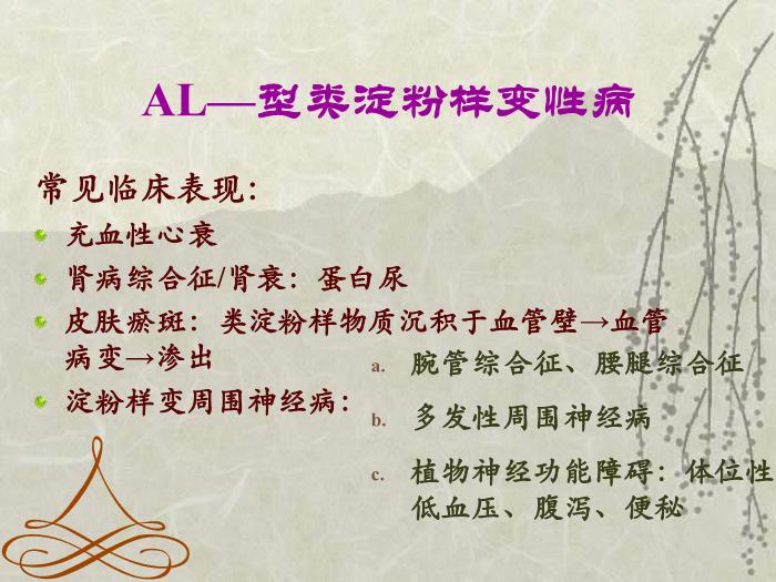 【醫學PPT課件】淀粉樣變神經病-神內一    趙純第12頁
