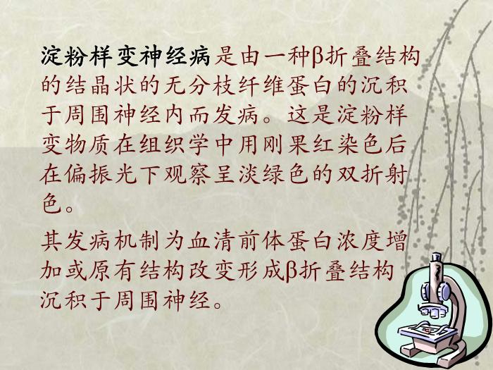 【醫學PPT課件】淀粉樣變神經病-神內一    趙純第2頁