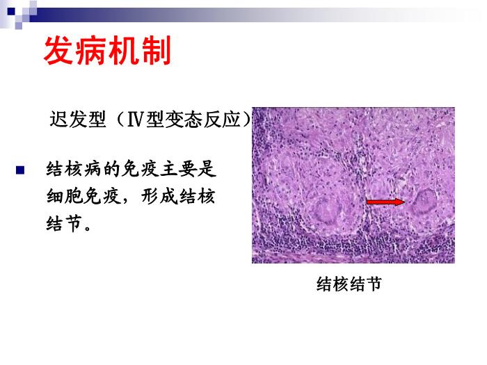 【醫學PPT課件】結核病 華中科技大學傳染病學教學課件第15頁