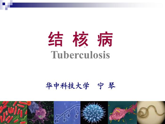 【醫學PPT課件】結核病 華中科技大學傳染病學教學課件第2頁