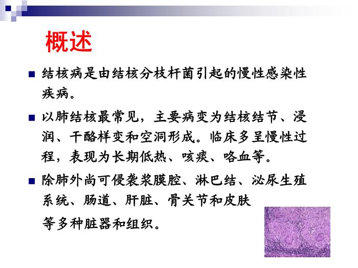 【醫學PPT課件】結核病 華中科技大學傳染病學教學課件第3頁
