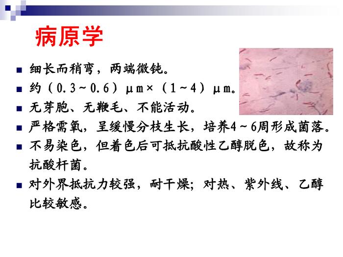 【醫學PPT課件】結核病 華中科技大學傳染病學教學課件第5頁