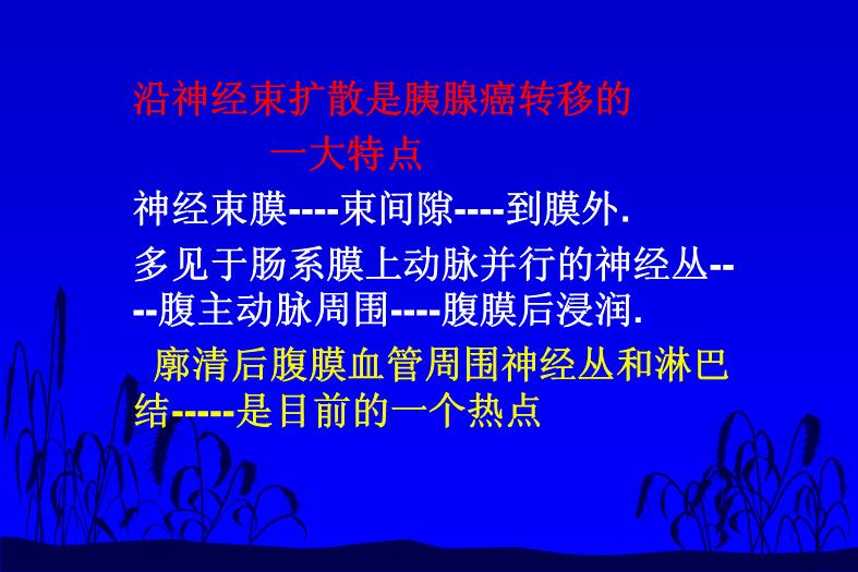 【醫學PPT課件】如何合理切除胰腺癌 中國醫學科學院北京協和醫院外科預覽圖（9）