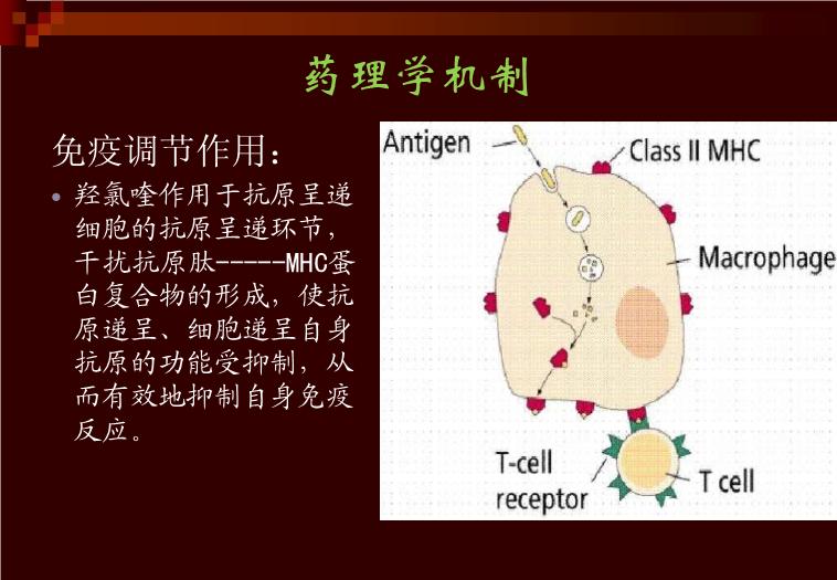 【醫學PPT課件】羥氯喹-—紛樂風濕科的應用 上海中西制藥有限公司第11頁