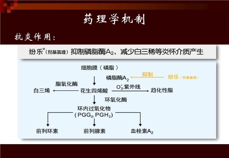 【醫學PPT課件】羥氯喹-—紛樂風濕科的應用 上海中西制藥有限公司第14頁