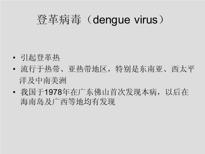 【醫學PPT課件】第28章 黃病毒 江蘇大學第12頁