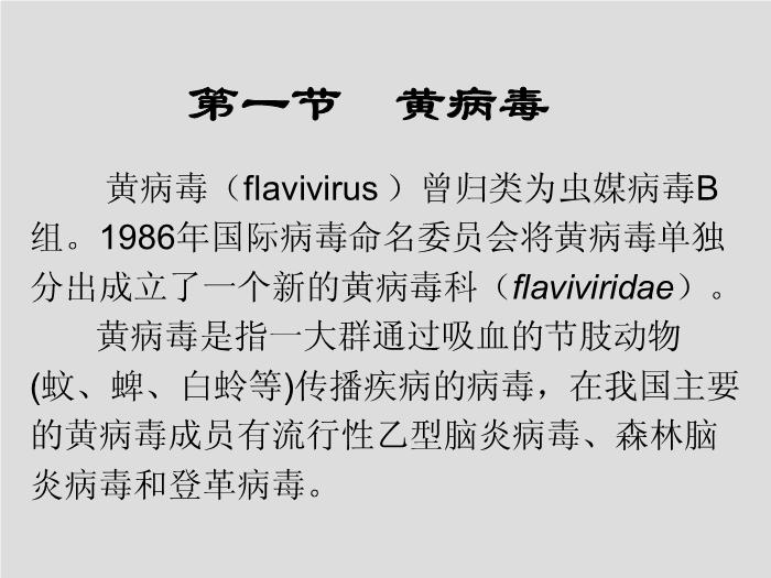 【醫學PPT課件】第28章 黃病毒 江蘇大學第2頁