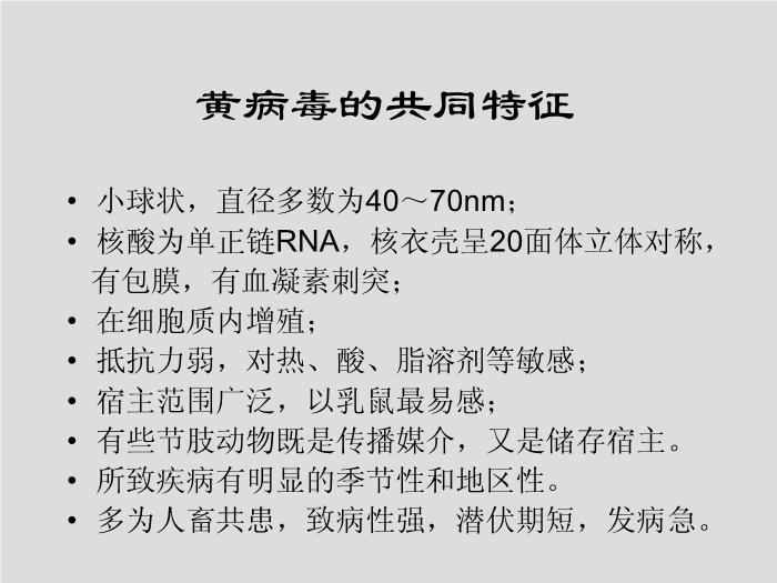 【醫學PPT課件】第28章 黃病毒 江蘇大學第3頁