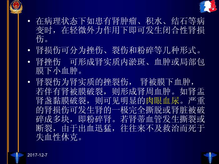【醫學PPT課件】臨床法醫學第十三章 泌尿和生殖器官損傷第4頁