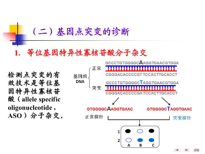 【醫學PPT課件】第二十五章 基因診斷與基因治療 醫學微生物學教學課件第8頁