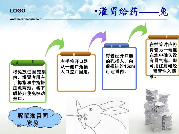 【醫學PPT課件】動物實驗操作基本方法第10頁