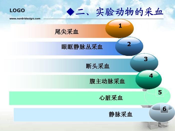 【醫學PPT課件】動物實驗操作基本方法第15頁