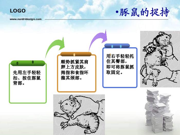 【醫學PPT課件】動物實驗操作基本方法第6頁