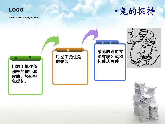 【醫學PPT課件】動物實驗操作基本方法第7頁