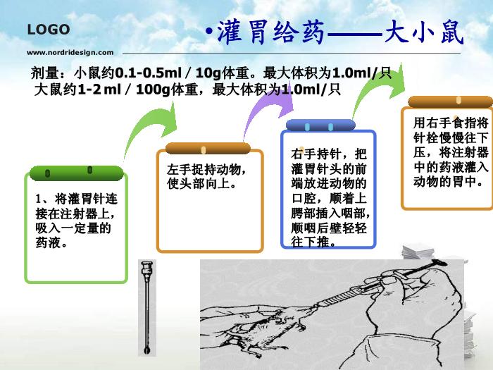 【醫學PPT課件】動物實驗操作基本方法第9頁