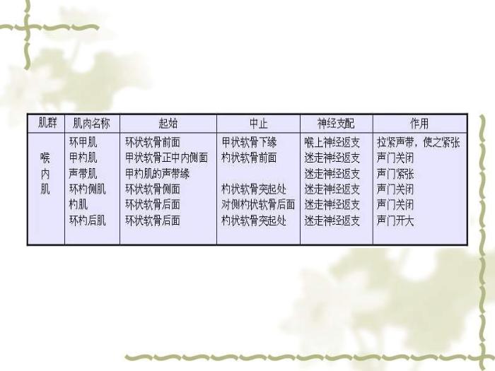 【醫學PPT課件】構音障礙的類型與評定 北京博愛醫院聽力語言科張慶蘇第13頁