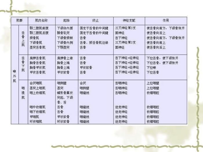 【醫學PPT課件】構音障礙的類型與評定 北京博愛醫院聽力語言科張慶蘇第15頁