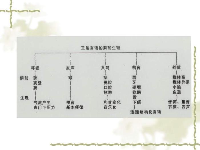 【醫學PPT課件】構音障礙的類型與評定 北京博愛醫院聽力語言科張慶蘇第3頁
