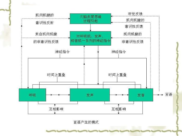 【醫學PPT課件】構音障礙的類型與評定 北京博愛醫院聽力語言科張慶蘇第4頁