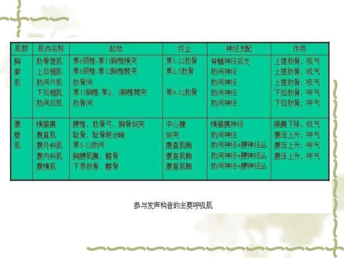 【醫學PPT課件】構音障礙的類型與評定 北京博愛醫院聽力語言科張慶蘇第8頁