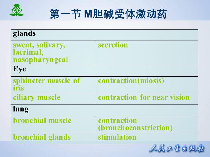 【醫學PPT課件】第 六 章  膽堿受體激動藥第10頁