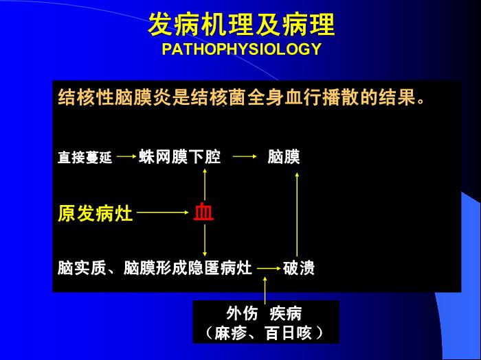【醫學PPT課件】結核性腦膜炎2 PPT（幻燈片） 2第3頁
