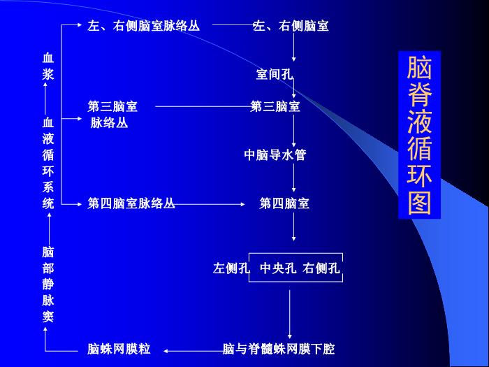 【醫學PPT課件】結核性腦膜炎2 PPT（幻燈片） 2第8頁