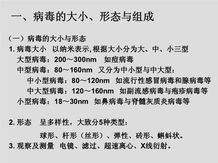 【醫學PPT課件】第23章 病毒學概述 大連醫科大學  第3頁