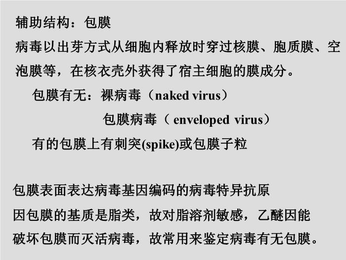 【醫學PPT課件】第23章 病毒學概述 大連醫科大學  第6頁