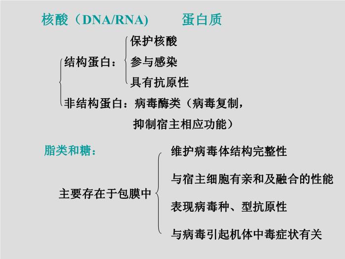 【醫學PPT課件】第23章 病毒學概述 大連醫科大學  第8頁