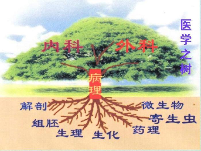 【醫學PPT課件】骨腫瘤病理知識  煤炭總醫院病理科楊連君第2頁
