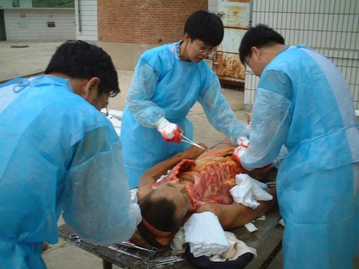 【醫學PPT課件】骨腫瘤病理知識  煤炭總醫院病理科楊連君第6頁