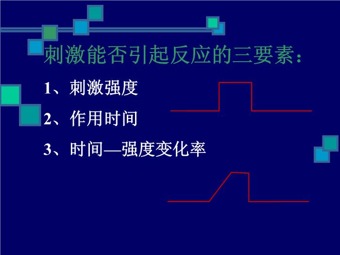 【醫學PPT課件】人體生理學PPT課件第11頁