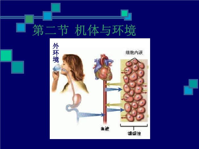 【醫學PPT課件】人體生理學PPT課件第14頁
