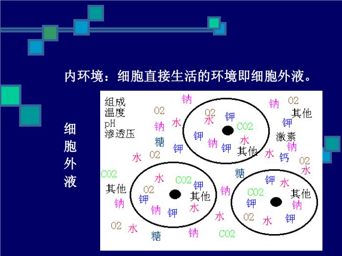 【醫學PPT課件】人體生理學PPT課件第15頁