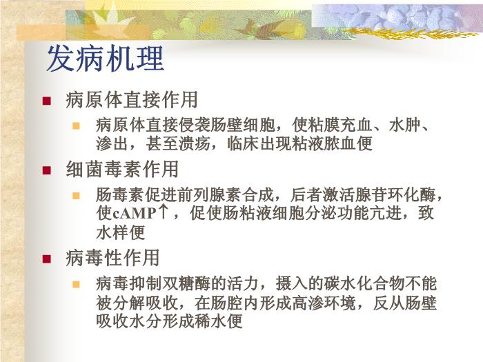 【醫學PPT課件】感染性腹瀉 復旦大學附屬華山醫院第6頁