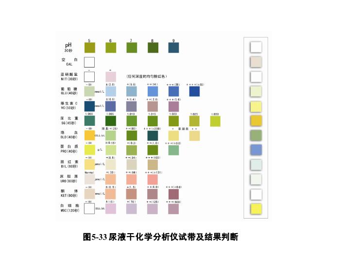 【醫學PPT課件】第五章 尿液一般檢驗 06 尿液分析儀檢查第13頁