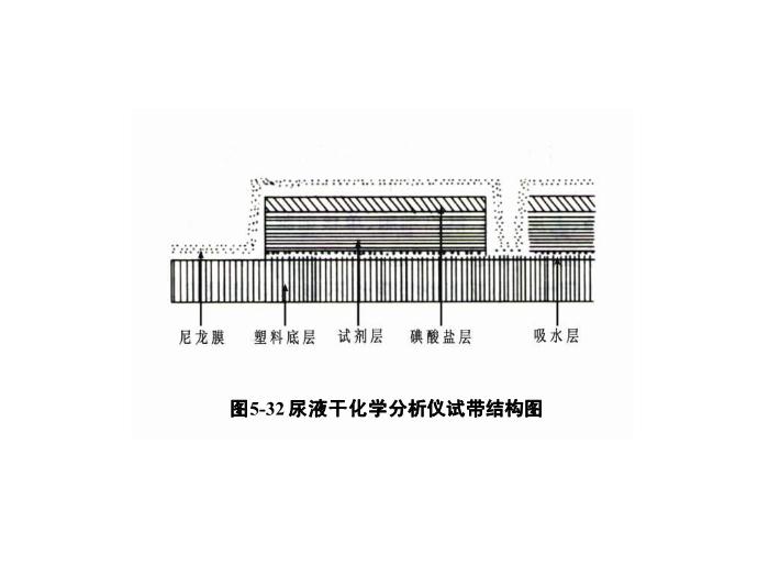 【醫學PPT課件】第五章 尿液一般檢驗 06 尿液分析儀檢查第3頁